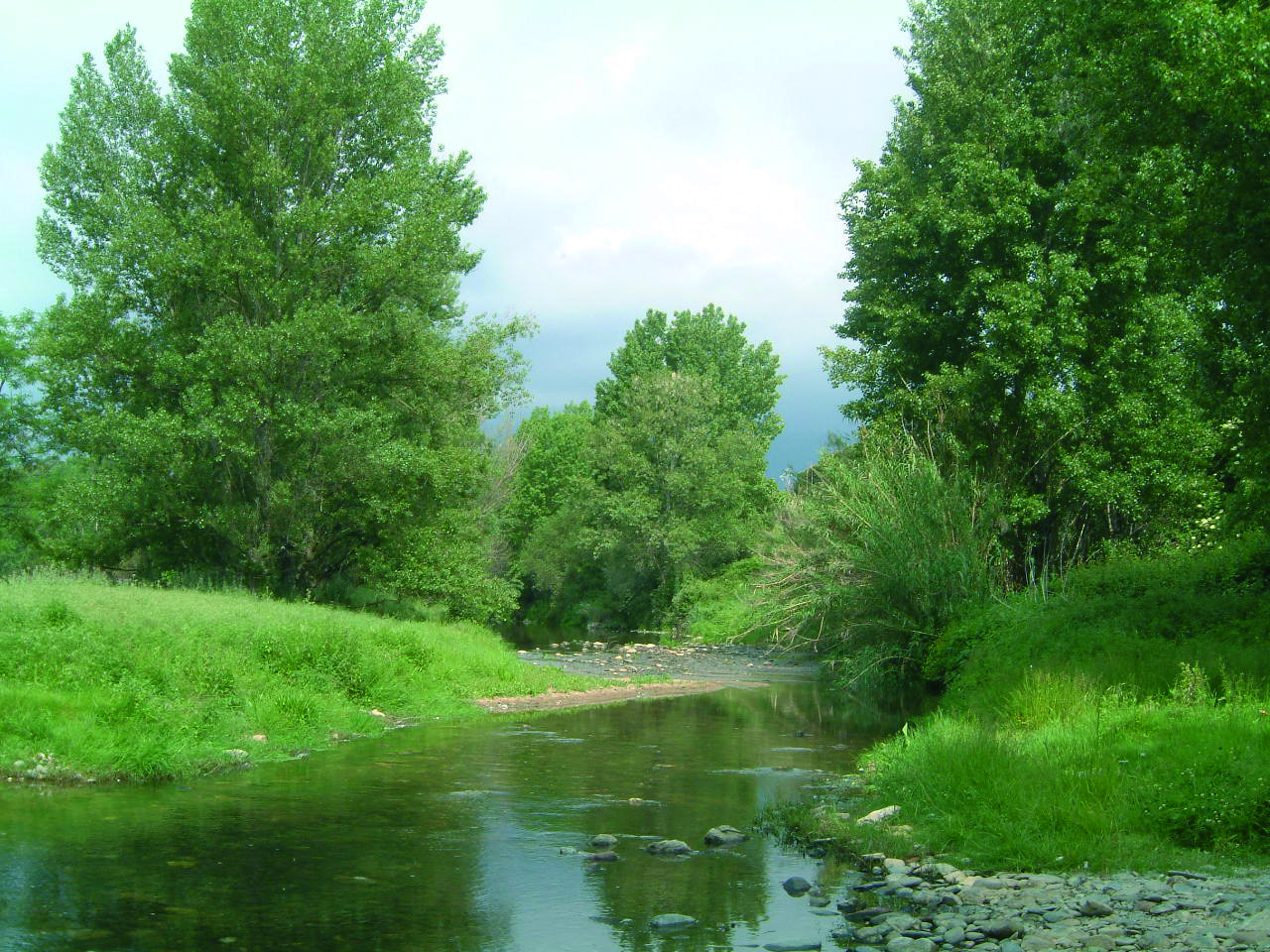 Riu Tordera
