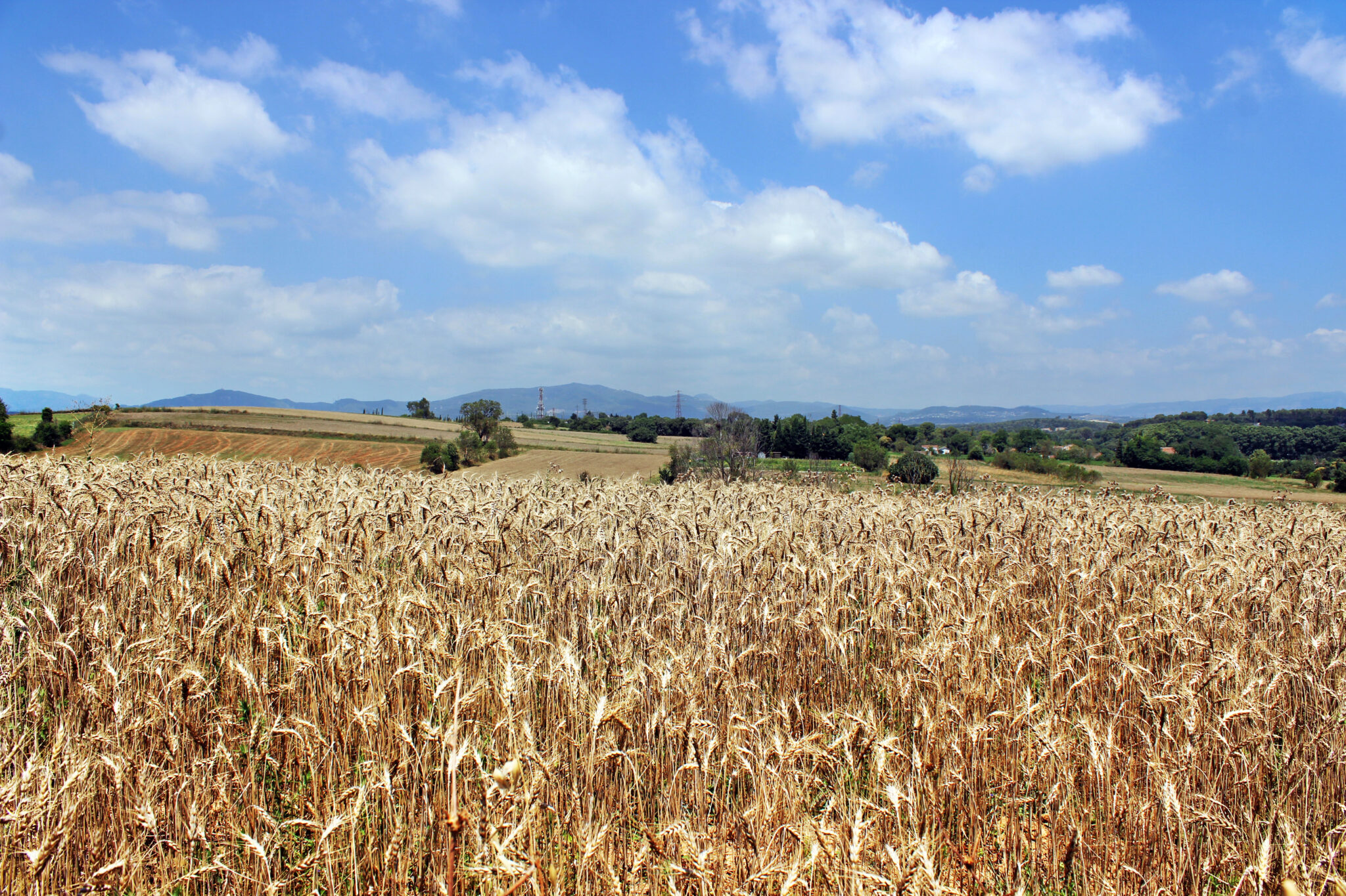 Mollet del Vallès Turisme Vallès