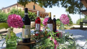 Taula de vins al celler Can Roda
