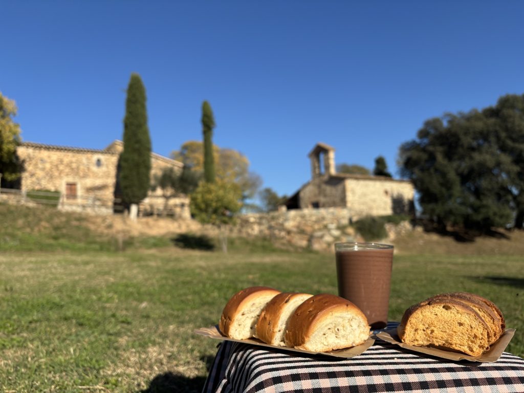 Borregos de Cardedeu