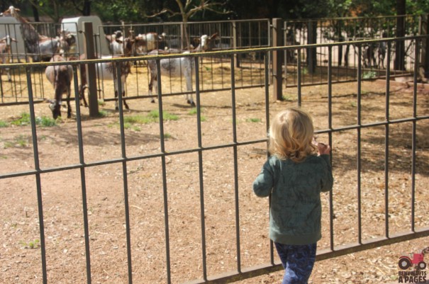 Benvinguts a Pagès 2026