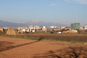 Camps de conreu que envolten Granollers