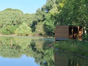 Bassa dels ànecs - la Roca del Vallès