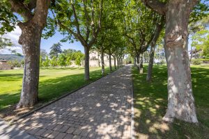 Camí al Castell Nou de Llinars del Vallès