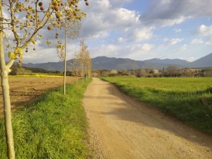 Camí ral - Aj. SAV