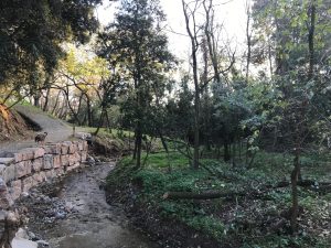 La riera de Vilamajor