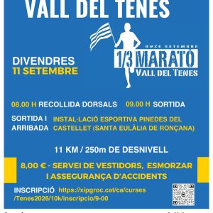cartell 37a Cursa de la Vall del Tenes