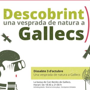 Cartell descobrint Gallecs